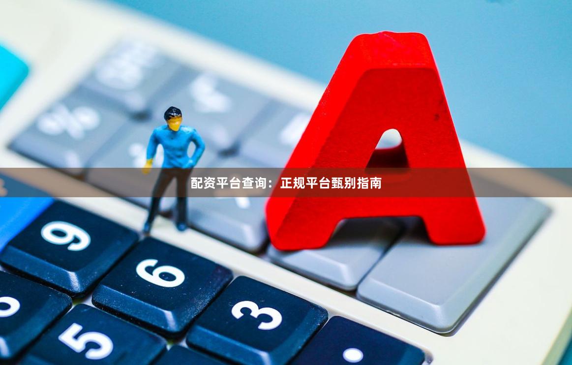 配资平台查询：正规平台甄别指南